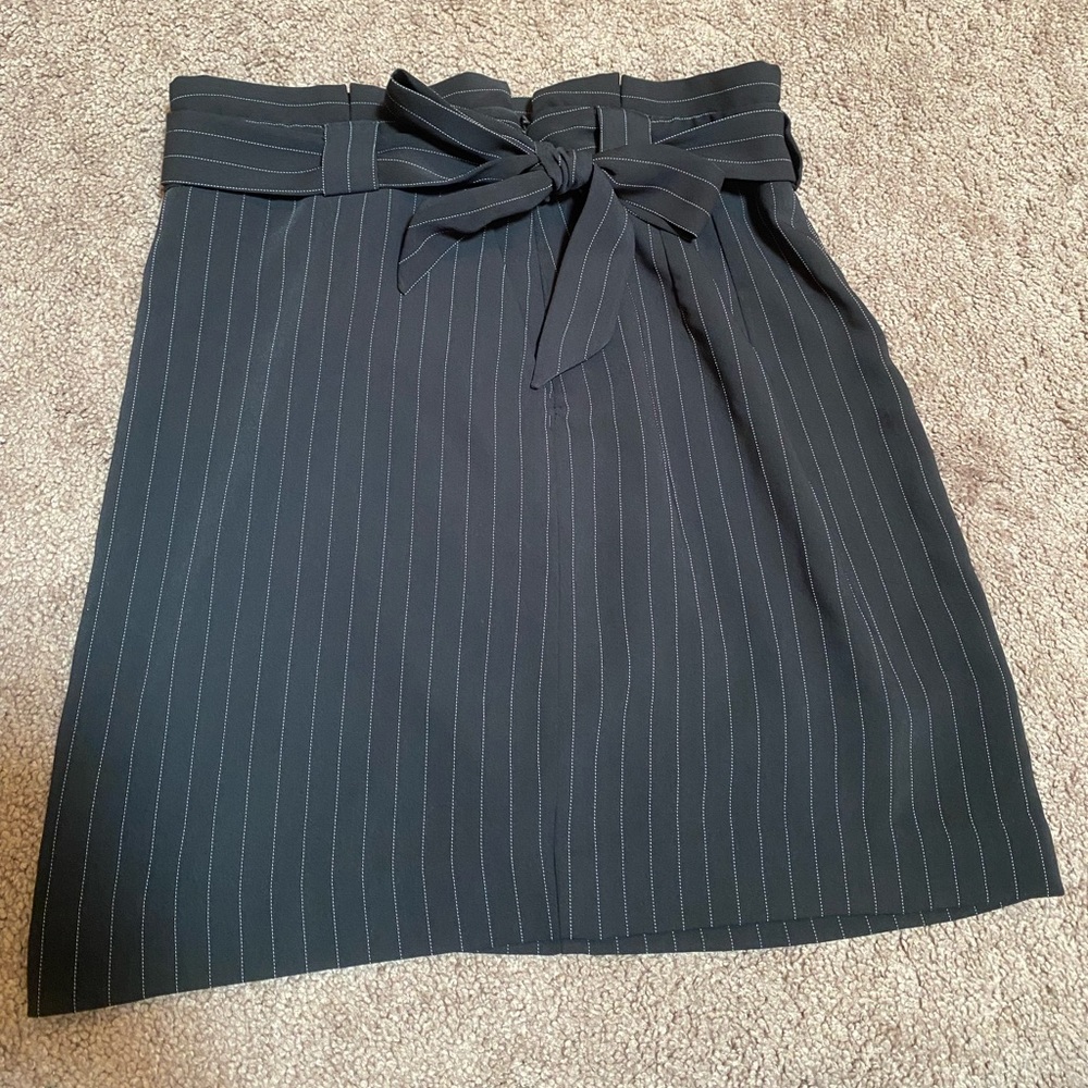 Professional skirt